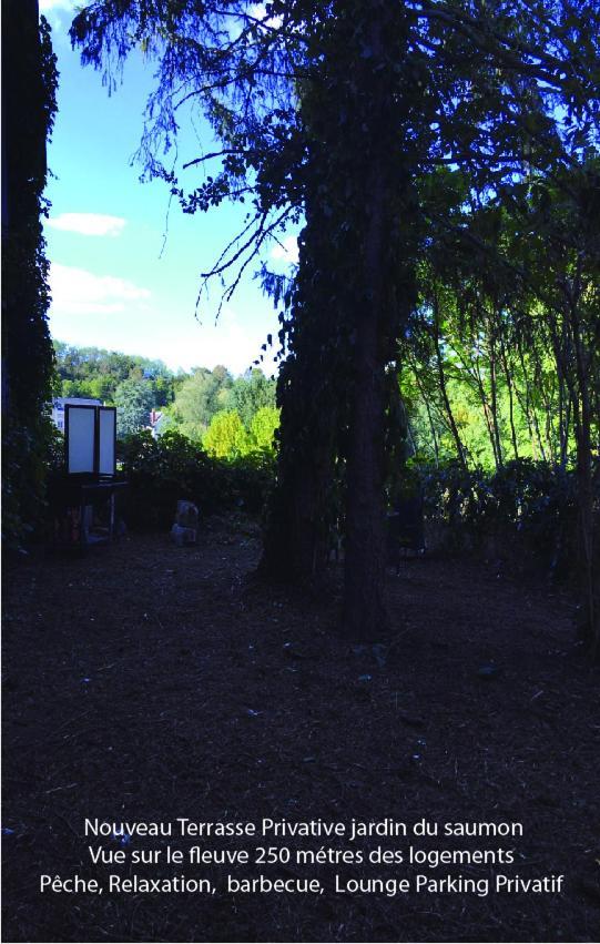 Passage Du Saumon Daire Montrichard Dış mekan fotoğraf